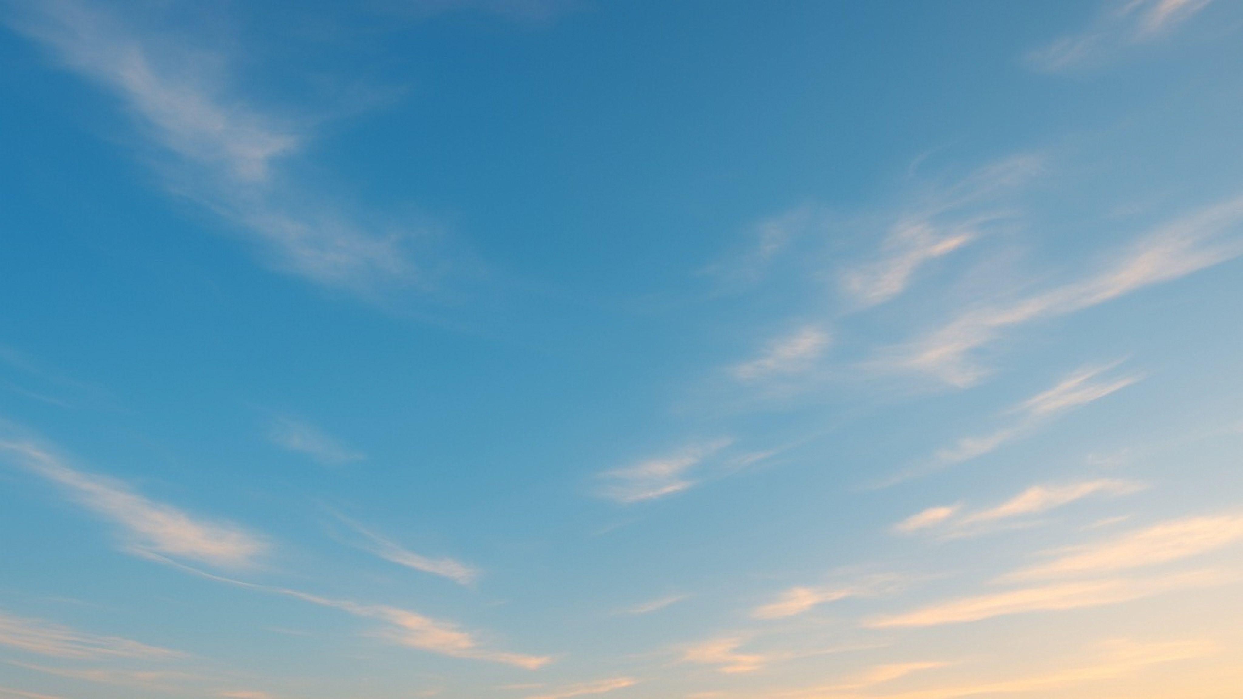 這裡有一張圖片