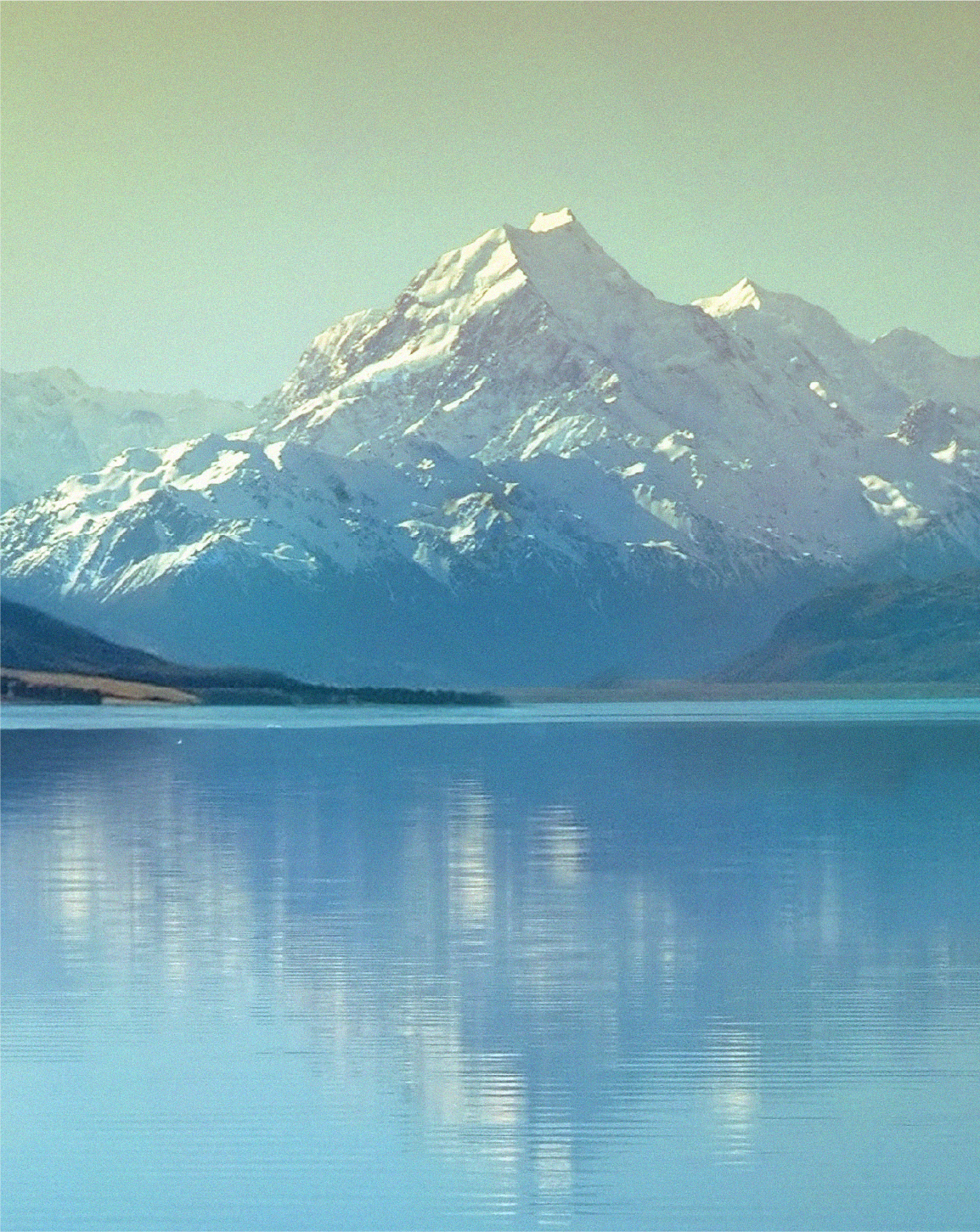 這裡有一張圖片